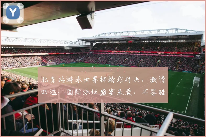北京站游泳世界杯精彩对决，激情四溢，国际泳坛盛宴来袭，不容错过