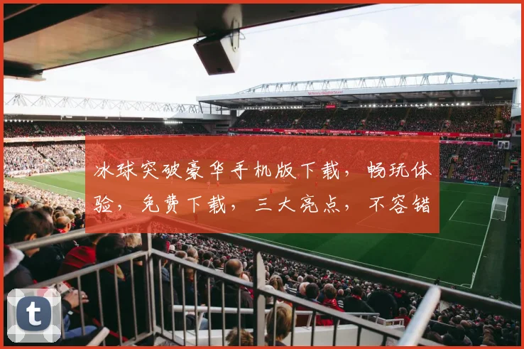 冰球突破豪华手机版下载，畅玩体验，免费下载，三大亮点，不容错过，立即下载
